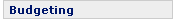 Budgeting