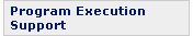 Program Execution Support