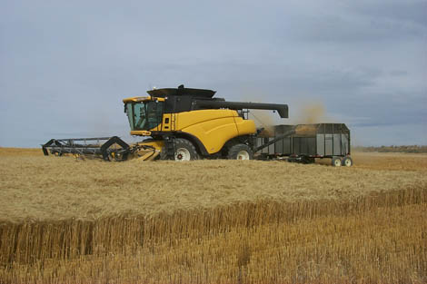 Photograph of yellow and black combine harvester harvesting wheat. Courtesy of Idaho National Laboratory