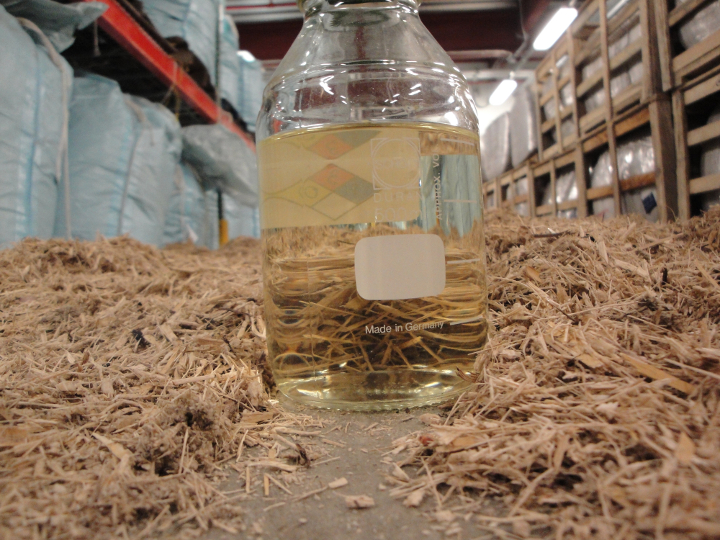 A vial of cellulosic ethanol sitting in a pile of feedstock.