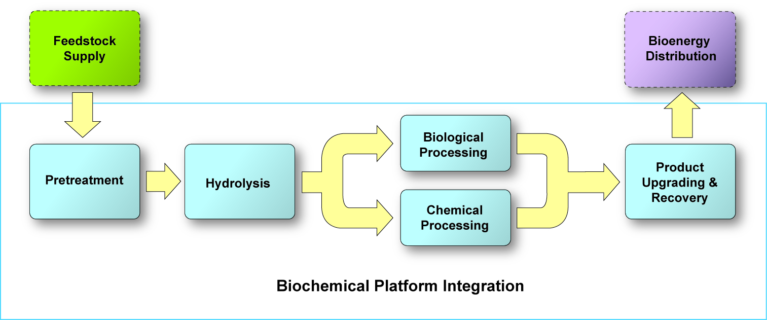 Diagram of Biochemical Platform Integration, moving from Feedstock Logistics to Pretreatment, Hydrolysis, Processing, and Product Recovery and Ugrading, then out to Bioenergy Distribution.