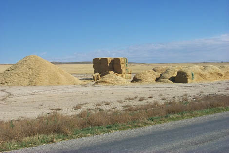 Photograph of three types of feedstock: pile, stack, and bales. Courtesy Idaho National Laboratory