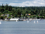 Photo of a lake with boats on it and clustered trees beyond.