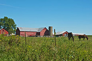 Photo of farmland, with a set of barns and farm animals in the distance.