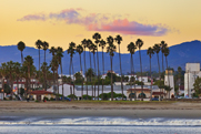 Photo of a city street, with a line of palm trees set against a mountainous background.