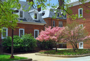 Photo of a cluster of brick buildings with flowering trees in the foreground.