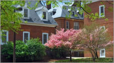 Photo of three brick buildings with flowering trees around them.