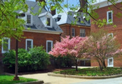 Photo of three brick buildings with flowering trees around them.