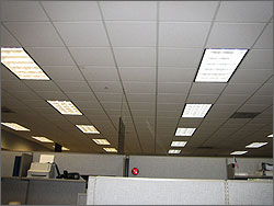 Photo of the interior of an office building with the top portion of cubicle walls visible. The focus of the image is on the ceiling which has two banks of lights. The bank on the left is the pre-retrofit lamps and the bank on the right is the spectrally enhanced lighting. The spectrally enhanced lighting appears brighter than the pre-retrofit lamps.