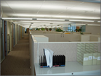 Photo of the interior of an office building with cubicles and spectrally enhanced lighting on the ceiling giving off a warm glow.