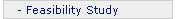 Feasibility Study