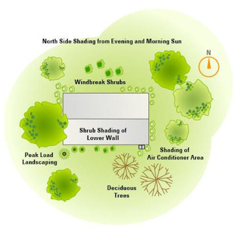 Graphic of home facing South with deciduous trees surrounding East and West sides as well as air conditioner area, and shrubs surrounding the perimeter.