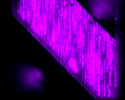 Photo of a rectangle with pink and purple streaks.