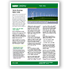 Thumbnail of the green one-page fact sheet template.