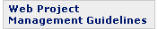 Web Project Management Guidelines