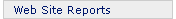 Web Site Reports
