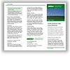 Illustration of the green tri-fold template