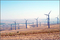 Photo of Stateline wind power facility.
