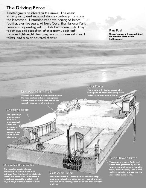 This is a drawing of Assateague Island. Assateague is an island on the move.  The ocean, shifting sand, and seasonal storms constantly transform the landscape.  Natural forces have damaged beach facilities over the years.  At Toms Cove, the National Park Service is responding with mobile bathhouse units.  Easy to remove and reposition after a storm, each unit includes lightweight changing rooms, passive solar vault toilets, and a solar-powered shower.  The drawing depicts the following:  Free Fuel:  The sun's energy is the power behind the operation of the mobile bathhouse unit.  Driving on Clam Shells:  Crushed clam shells, a waste material from the local seafood industry, has replaced asphalt roads.  The shells are easier than asphalt to reposition after a storm.  Solar Power:  The mobile utility trailer houses all of the equipment required to pump fresh water to the solar shower tower.  Solar Shower Tower:  The tower provides a fresh, cold water rinse generated by a solar-electric powered pump in the utility trailer, located nearby.  Take a short walk to the trailer and see how the solar water pump works.  Convection Toilet:  The toilet's black PVC chimney absorbs solar energy creating a natural convection current - heated, stale air rises out of the chimney; fresh air is then drawn into the wall vent.  Moveable Boardwalk:  The modular boardwalks are constructed of lumber which was salvaged from the demolition of the old Toms Cove bathhouse.  This surface is wheelchair accessible, stable to walk on, yet easy to remove before a storm.  Changing Room: The lightweight changing room, built with stainless steel tubes and wrapped in synthetic canvas, is easy to set up and dismantle.