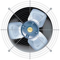 Image of a fan