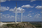 Photo of wind turbines that produce wind energy.