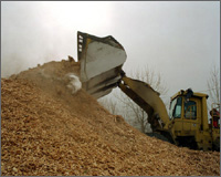 Photo of woodwaste