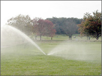Pulsating Sprinkler at Golf Course
