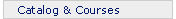 Catalog and Courses