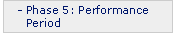 Phase 5: Performance Period