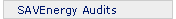 SAVEnergy Audits