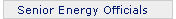 Senior Energy Officials for Federal Fleets