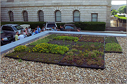 Photo of USDA's rooftop garden.