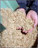 Photo of two hands cupping wood chips pouring from a green dispenser.