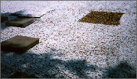 Solar reflectance samples