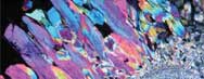 Geothermal History Reports