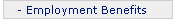 Employment Benefits
