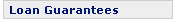 Loan Guarantees