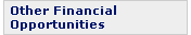 Other Financial Opportunities