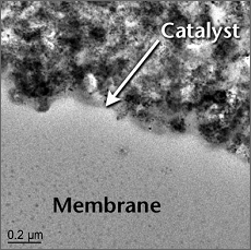 Magnified image of catalyst in contact with the solid polymer electrolyte membrane of a fuel cell. The catalyst is rough and porous so that the maximum surface area of the platinum can be exposed to the hydrogen or oxygen. The platinum-coated side of the catalyst faces the PEM.
