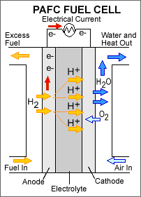 Diagram: How a Phosphoric Acid Fuel Cell (PAFC) works. A PAFC consists of liquid phosphoric acid electrolyte sandwiched between an anode (negatively charged electrode) and a cathode (positively charged electrode). The processes that take place in the fuel cell are as follows: 1. Hydrogen fuel is channeled through field flow plates to the anode on one side of the fuel cell, while oxygen from the air is channeled to the cathode on the other side of the cell. 2. At the anode, a platinum catalyst causes the hydrogen to split into positive hydrogen ions (protons) and negatively charged electrons. 3. The phosphoric acid electrolyte allows only the positively charged ions to pass through it to the cathode. The negatively charged electrons must travel along an external circuit to the cathode, creating an electrical current. 4. At the cathode, the electrons and positively charged hydrogen ions combine with oxygen to form water, which flows out of the cell.