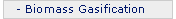Biomass Gasification