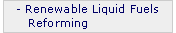 Renewable Liquid Fuels Reforming
