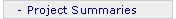 Project Summaries