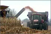 Photo of a field of crops being harvested.