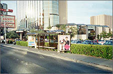 Photo of a photovoltaic system in Las Vegas, Nevada.