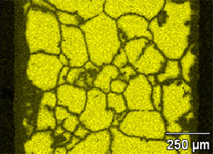 Image of a yellow strip with dark lines throughout.