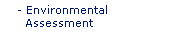 Environmental Assessment