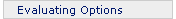 Evaluating Options