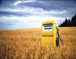 Biofuels