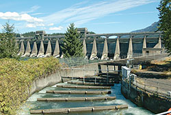 Photo of wooden fish ladders crossing a river.
